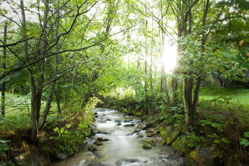 Naturhotel Ortners Eschenhof Bad Kleinkirchheim Luaran gambar