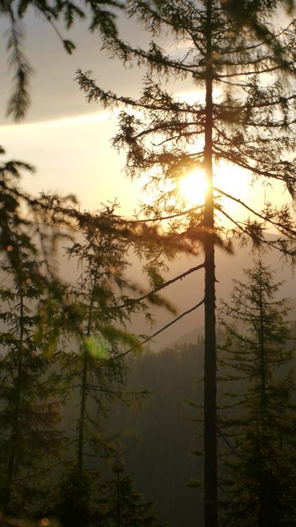 Naturhotel Ortners Eschenhof Bad Kleinkirchheim Luaran gambar